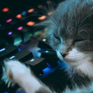 Meet your Posher, Danny